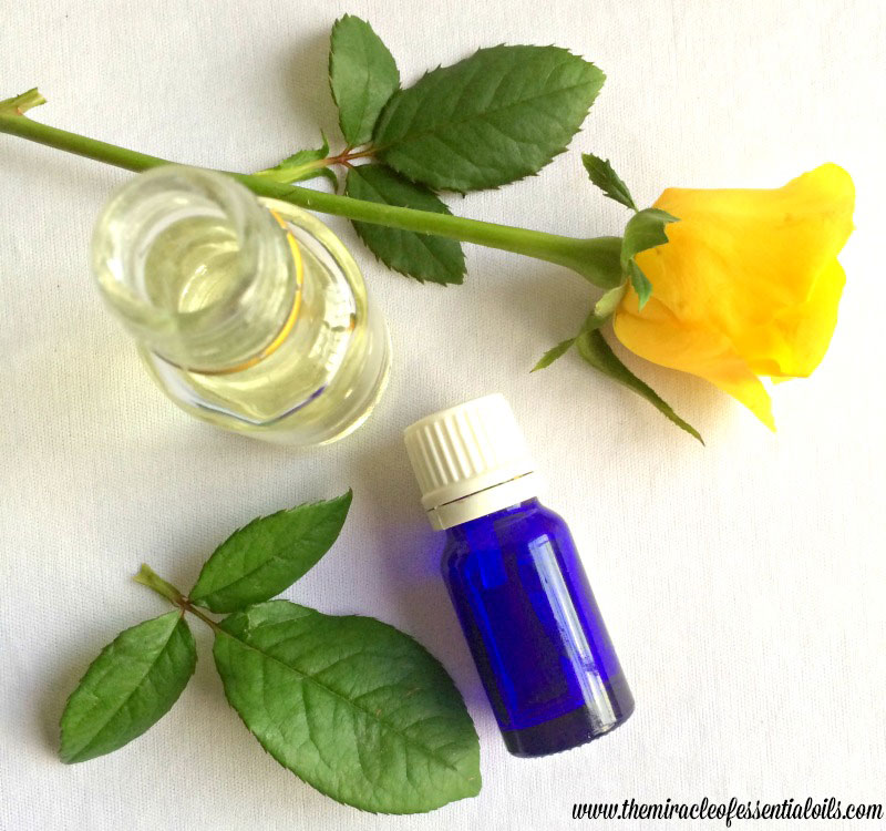 What are the Best Essential Oils to Start With?