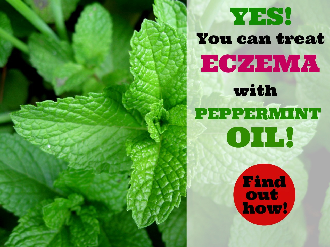 Peppermint Oil for Eczema | Home Remedy for a Cooling Relief