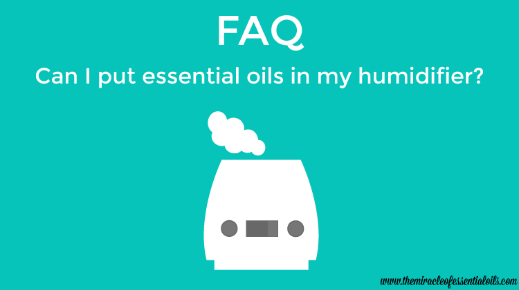 Can I Put Essential Oils In My Humidifier?