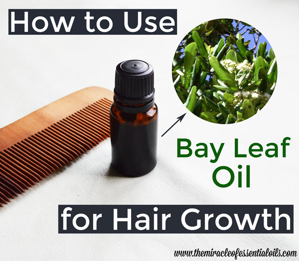 bay essential oil for hair growth