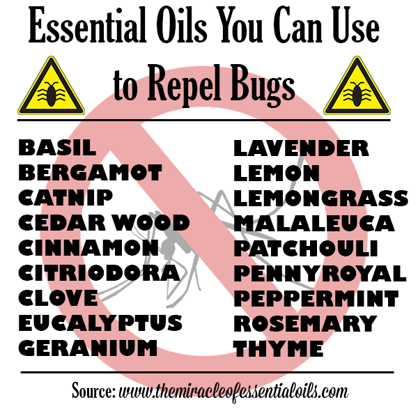 bug repellent essential oils