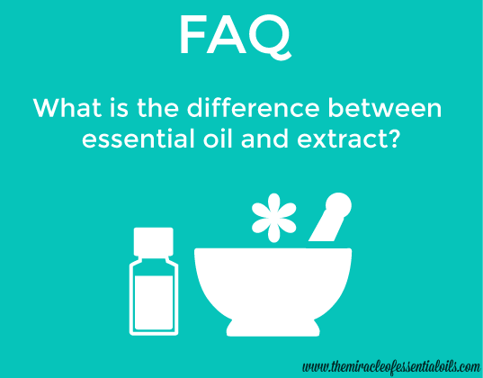 What is the Difference between Essential Oil and Extract?