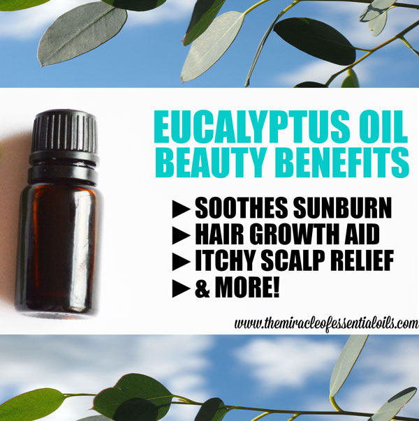 Benefits of Eucalyptus Oil for Hair, Skin & More