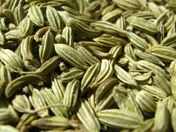 essential oils and varicose veins