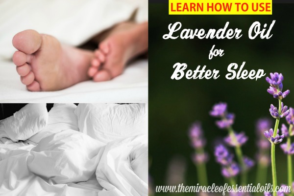 Does the Smell of Lavender Help you Sleep?