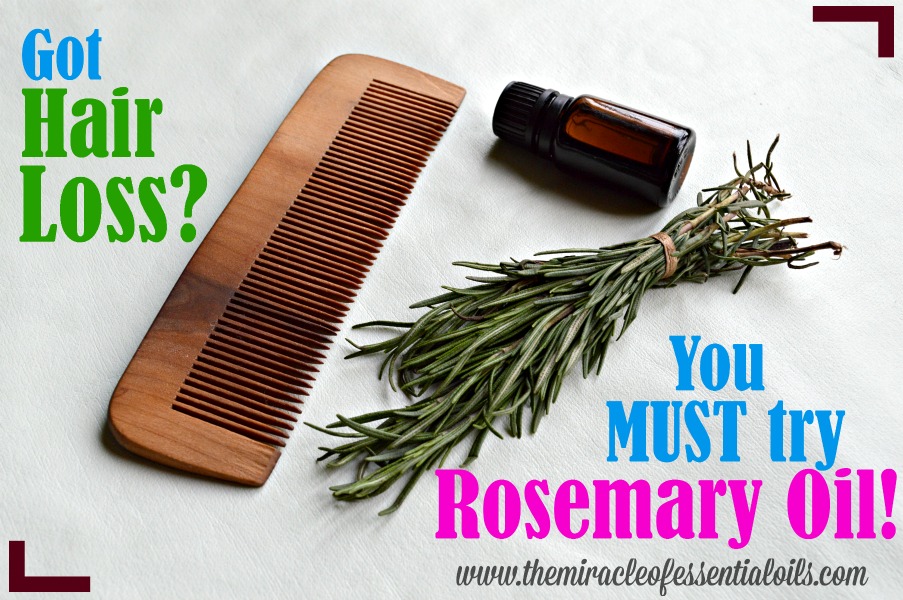 Rosemary Oil For Hair Loss Natural Essential Oil Remedy The Miracle Of Essential Oils