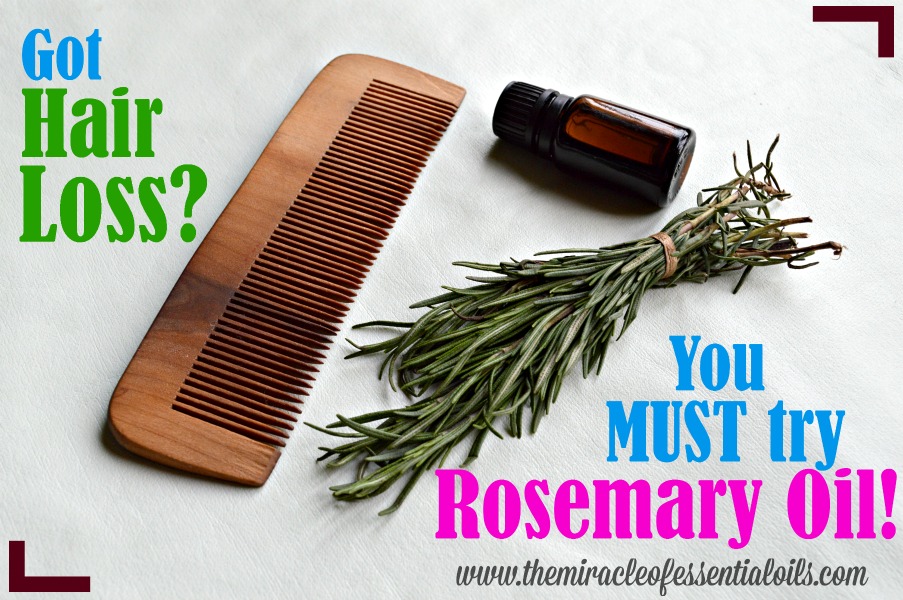 Rosemary Oil for Hair Loss | Natural Essential Oil Remedy