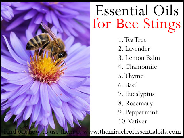 10 Fast-Acting Essential Oils for Bee Sting Relief