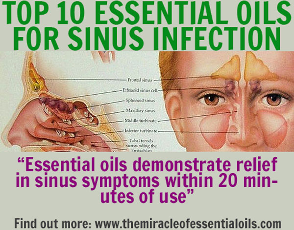 essential-oils-for-sinus-infection-relief