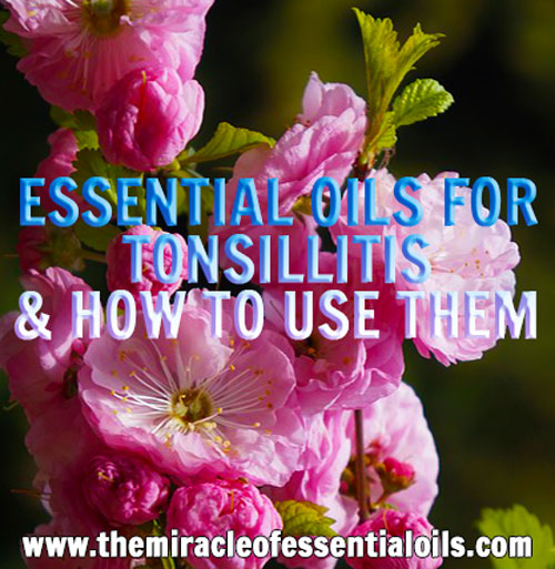 essential-oils-for-tonsillitis-tonsils