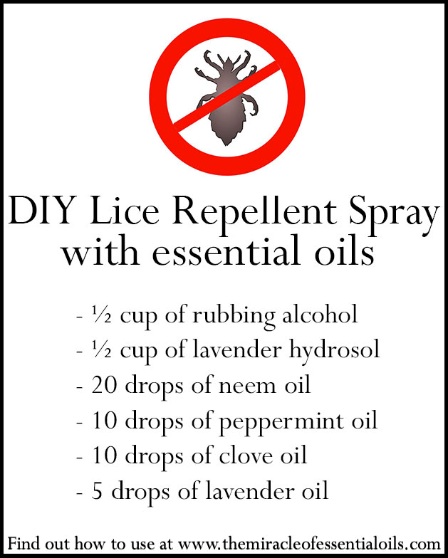 DIY Essential Oil Lice Repellent Spray That Works!