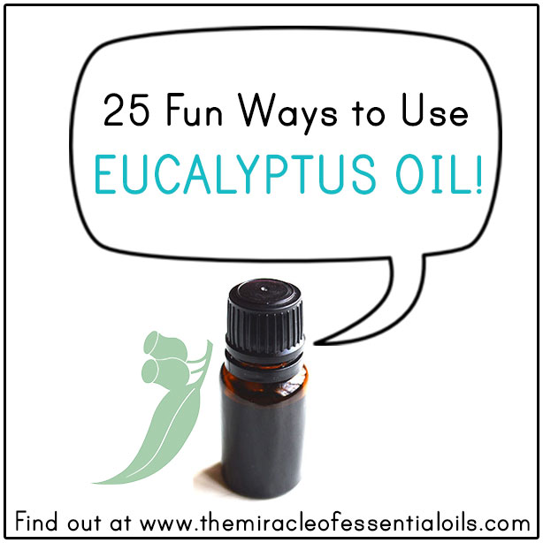 How to Use Eucalyptus Oil | 25 Fun Ways!