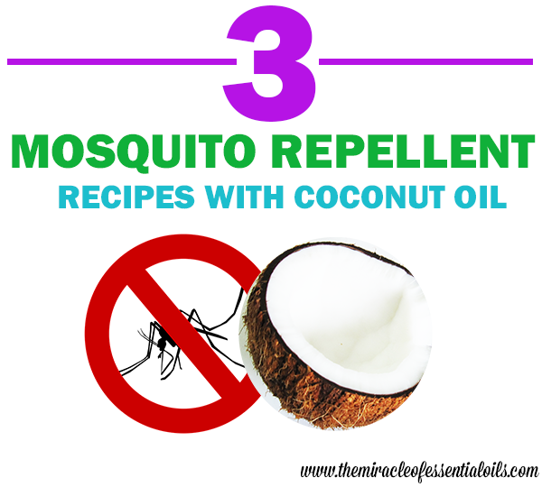 DIY Coconut Oil Mosquito Repellent Recipe - The Miracle of Essential Oils