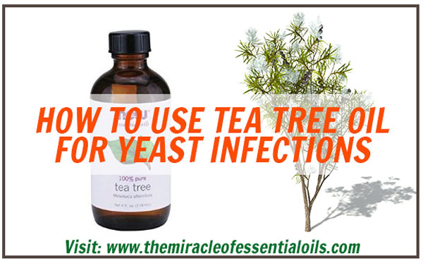 tea-tree-oil-for-yeast-infections