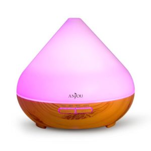 anjou