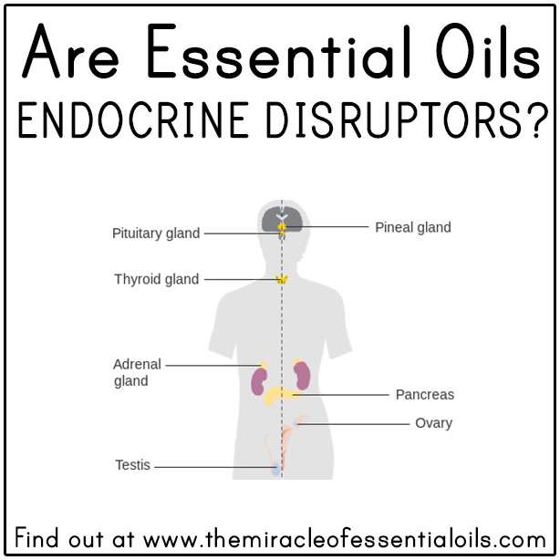 Are Essential Oils Endocrine Disruptors?