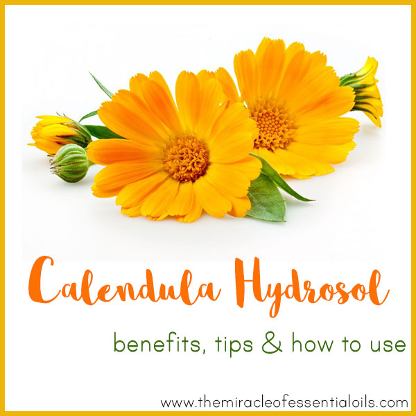calendula hydrosol benefits