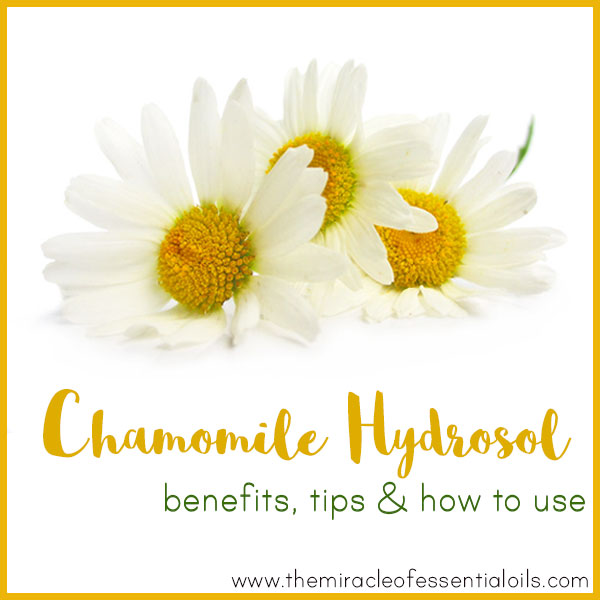 chamomile hydrosol benefits