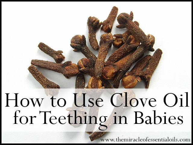 how to use clove oil for teething