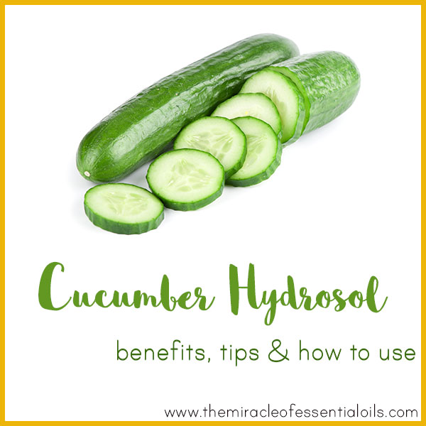 Cucumber Hydrosol Benefits, Tips & How to Use