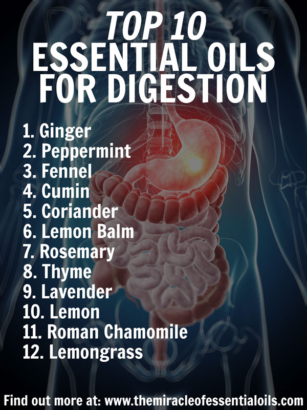 12 Essential Oils for Digestion & How to Use