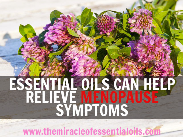 Essential Oils for Menopause, How they Help & 3 Recipes