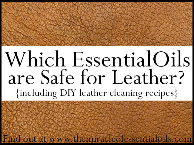 5 Essential Oils Safe for Leather