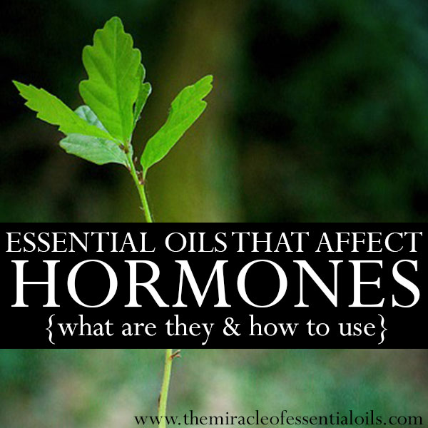 essential oils that affect hormones