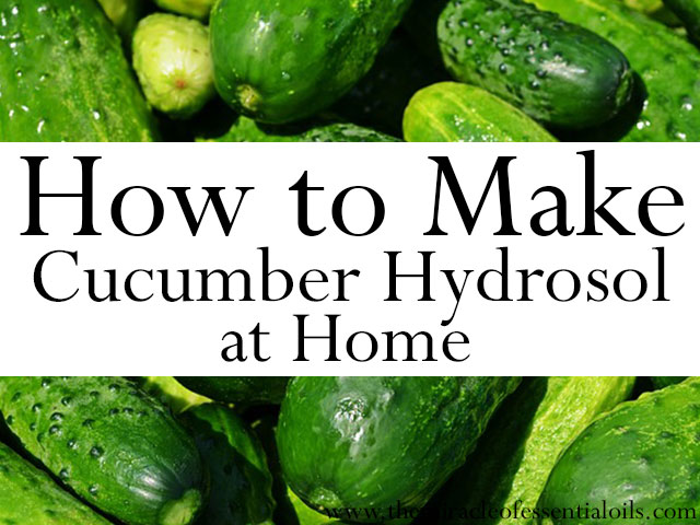 How to Make Cucumber Hydrosol at Home