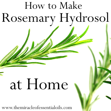 How to Make Rosemary Hydrosol at Home