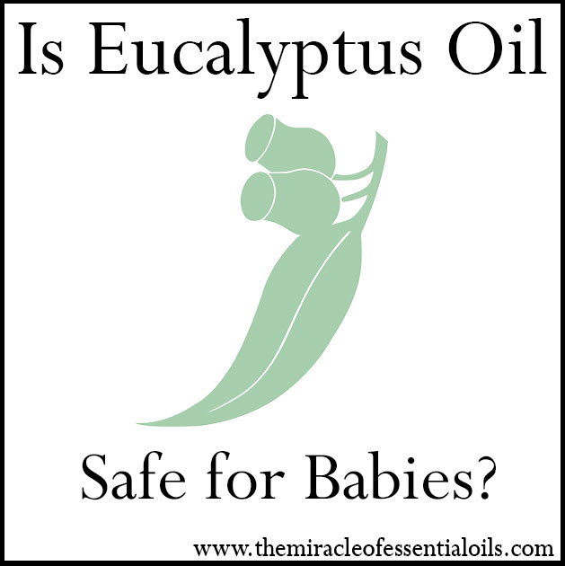 is eucalyptus oil safe for babies