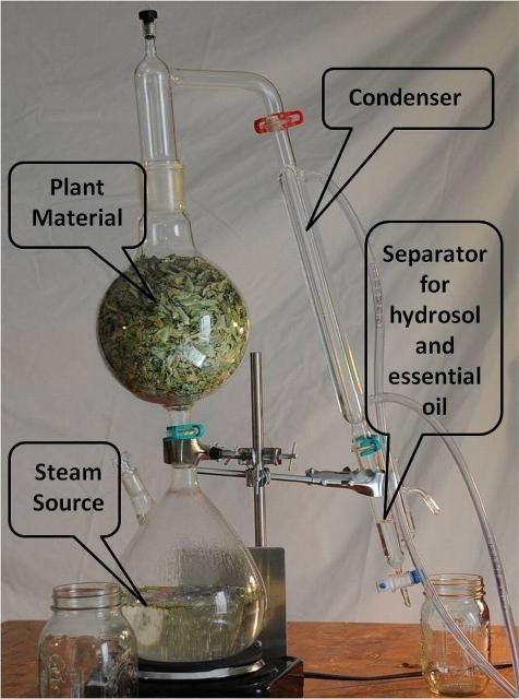 steam distillation home kit