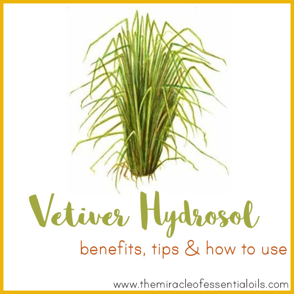 Vetiver Hydrosol Benefits, Tips & How to Use