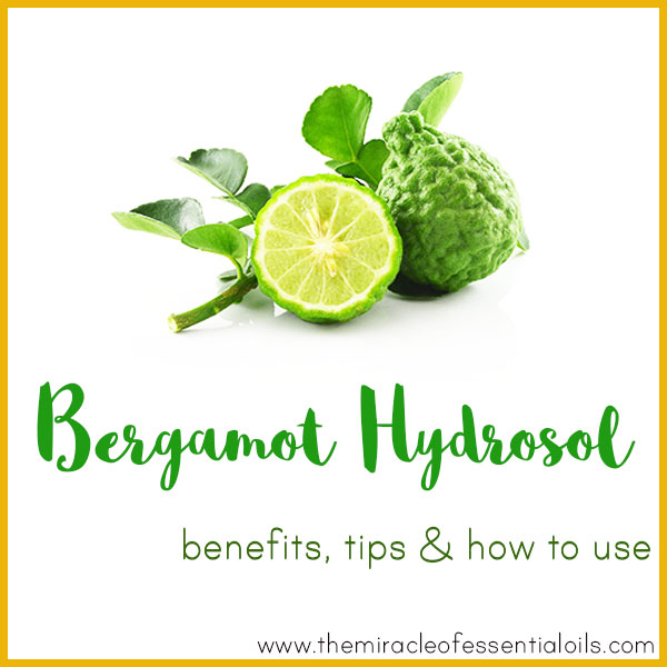 Bergamot Hydrosol Benefits Tips How To Use The Miracle Of