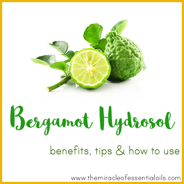 Bergamot Hydrosol Benefits, Tips & How to Use