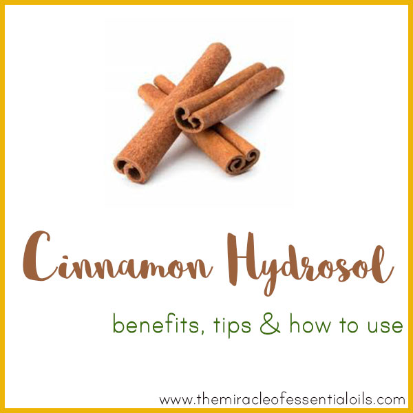 Cinnamon Hydrosol Benefits, Tips & How to Use