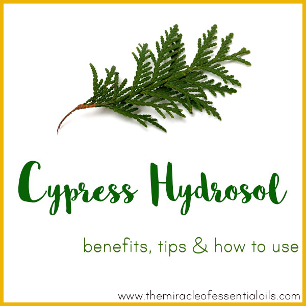 cypress hydrosol benefits