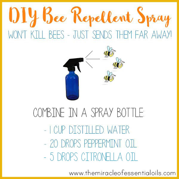 DIY Essential Oil Bee Repellent to Safely Get Rid of Bees