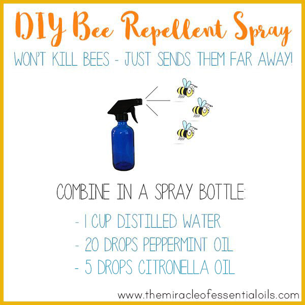 Use this DIY essential oil bee repellent spray to repel bees! 