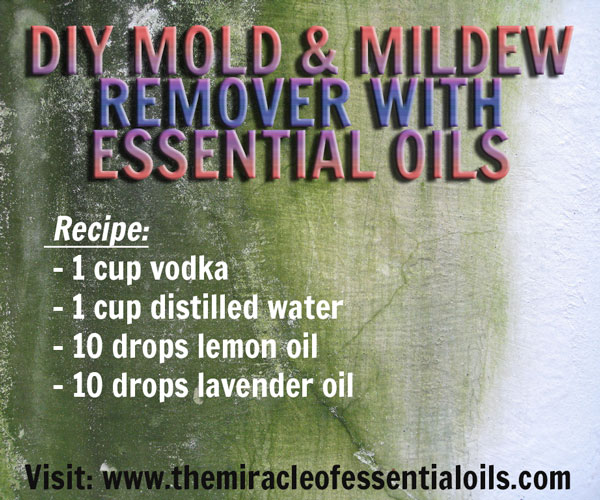 essential-oils-mildew-remover-diy