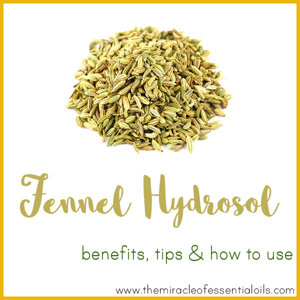 fennel hydrosol benefits