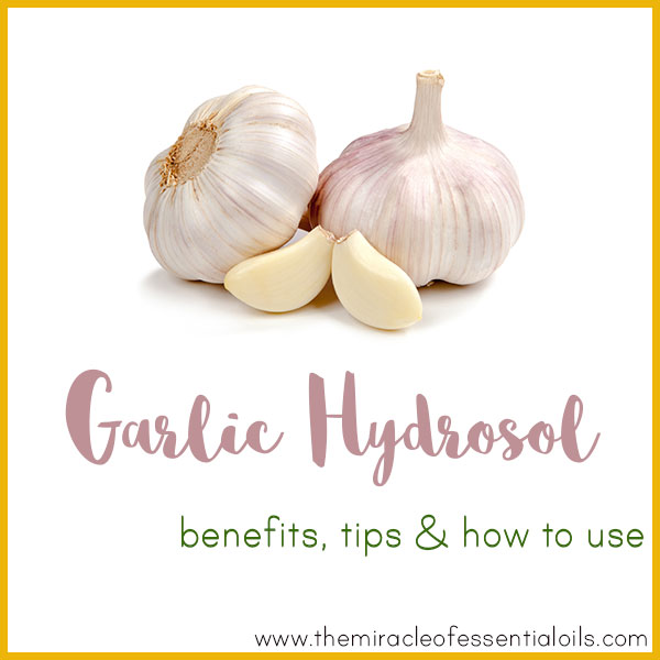 Garlic Hydrosol Benefits, Tips & How to Use