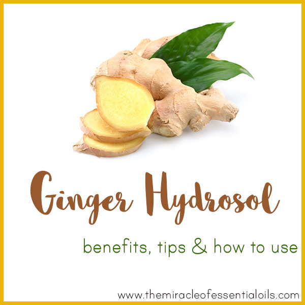 ginger hydrosol benefits