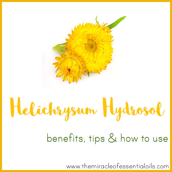 helichrysum hydrosol benefits