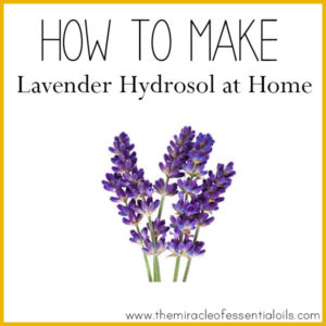 How to Make Lavender Hydrosol at Home