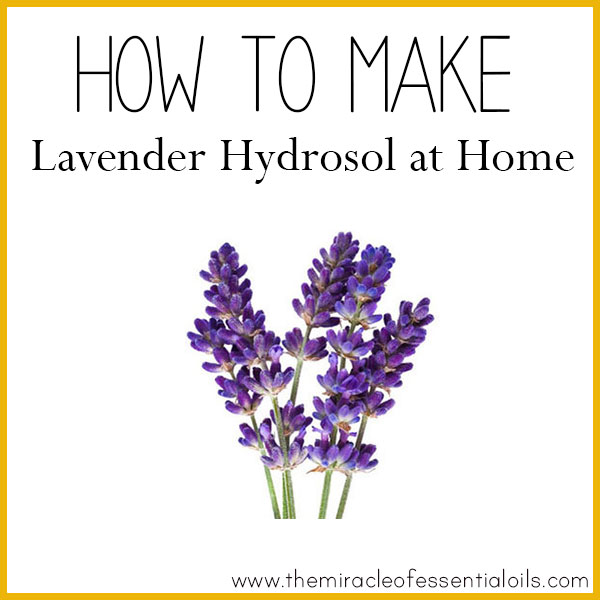 how to make lavender hydrosol at home