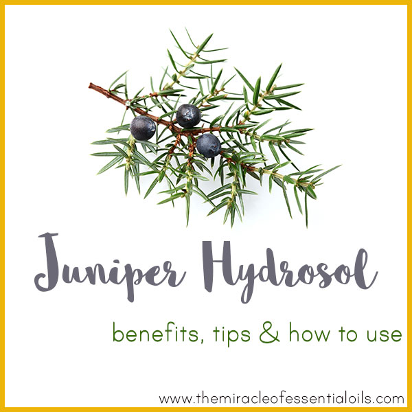 juniper hydrosol benefits