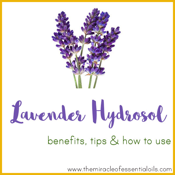 lavender hydrosol benefits