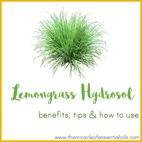 lemongrass hydrosol benefits