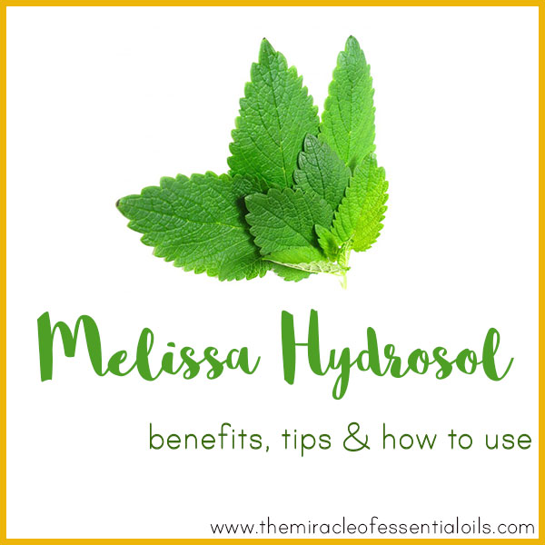 Melissa Hydrosol Benefits, Tips & How to Use The Miracle of Essential